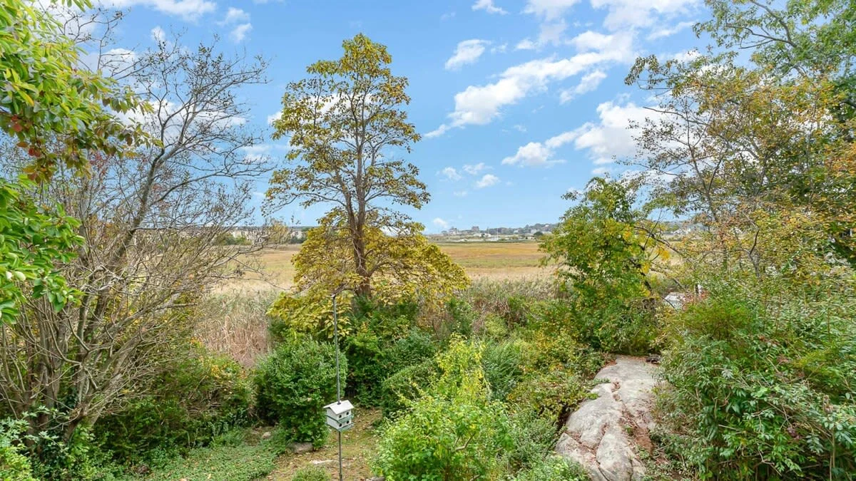 Lush green trees and open fields under a bright blue sky from a Gloucester, MA rental property, illustrating what management